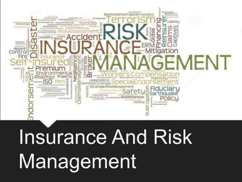 risk and insurance management