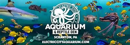 Electric City Aquarium and Reptile Den