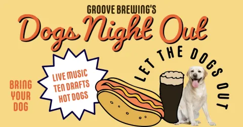 dogs night out