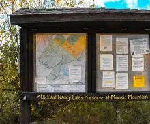 The Dick and Nancy Eales Preserve at Moosic Mountain